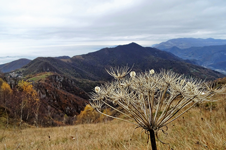Anello Corna Bianca (1228 m) Monte Costone (1195 m) da Salmezza il 12 nov. 2017  - FOTOGALLERY